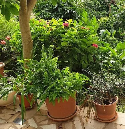 Lejlighed Haus Silvia