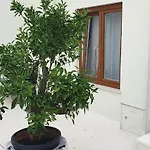 Haus Silvia *