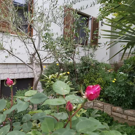 Haus Silvia Ровинь